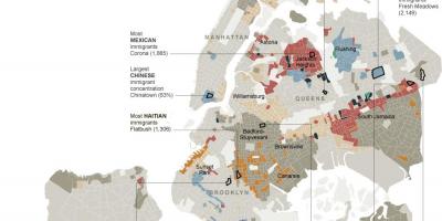 New York City ethnicity map